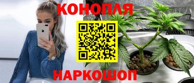 MESCALINE Гатчина